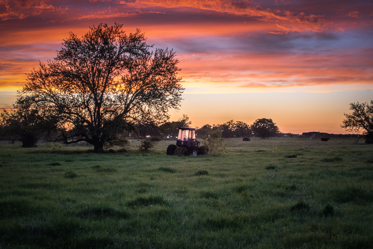 College,Station,,Tx,Usa,-,April,3,2020:,A,Field