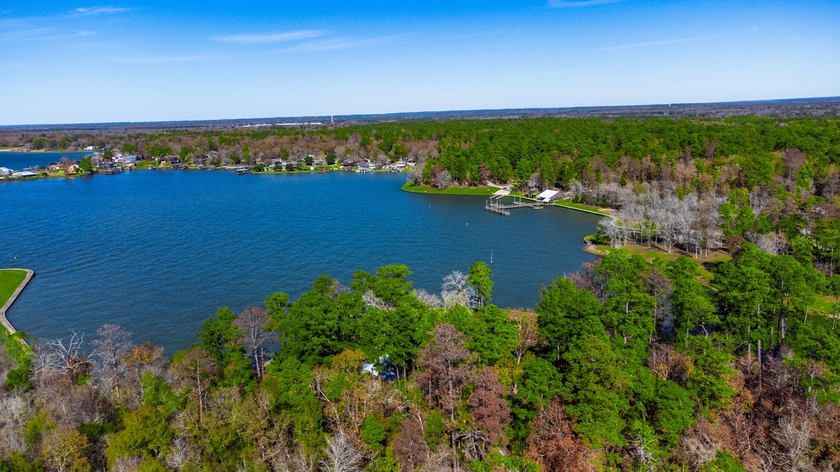 Aerial,View,Of,Lake,Livingston,State,Park,,Texas,,Usa.-,Landscape