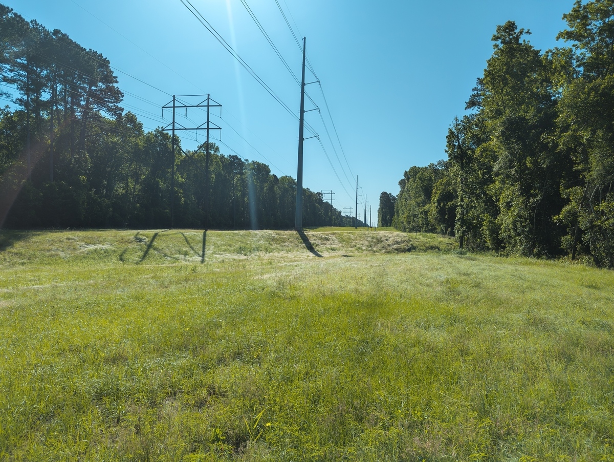 Powerlines,In,Montgomery,County,,Texas.
