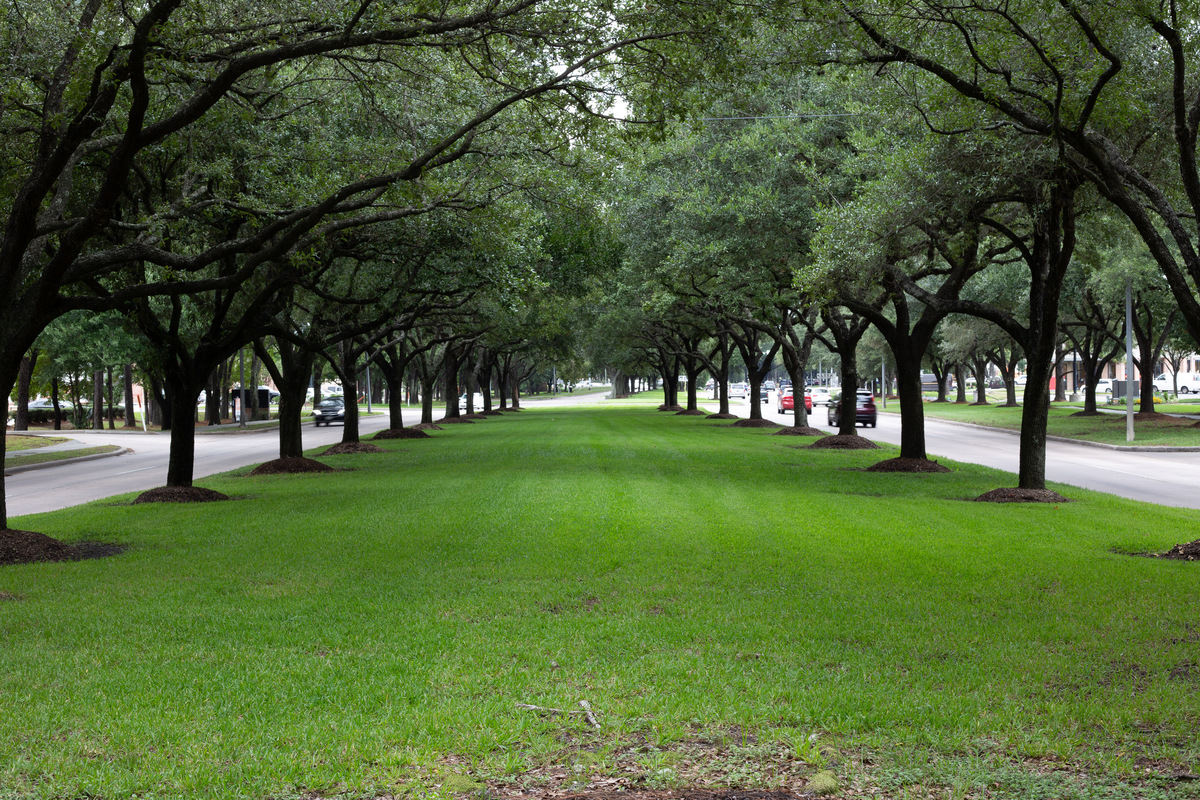 Medium,In,Main,Road,Of,Town,Center.,Kingwood,,Tx