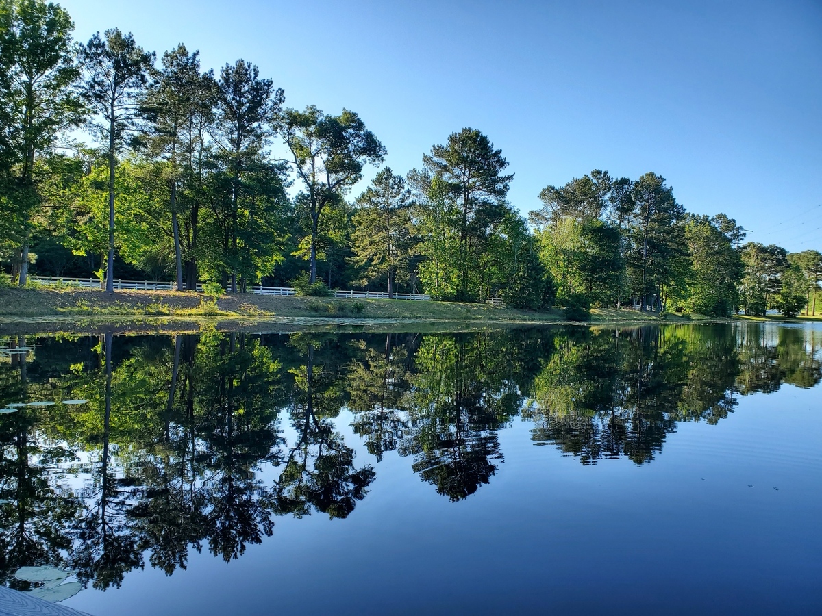 Peaceful,Reflections,-,Saturday,Afternoon,On,Pinto,Lake,Near,Magnolia,